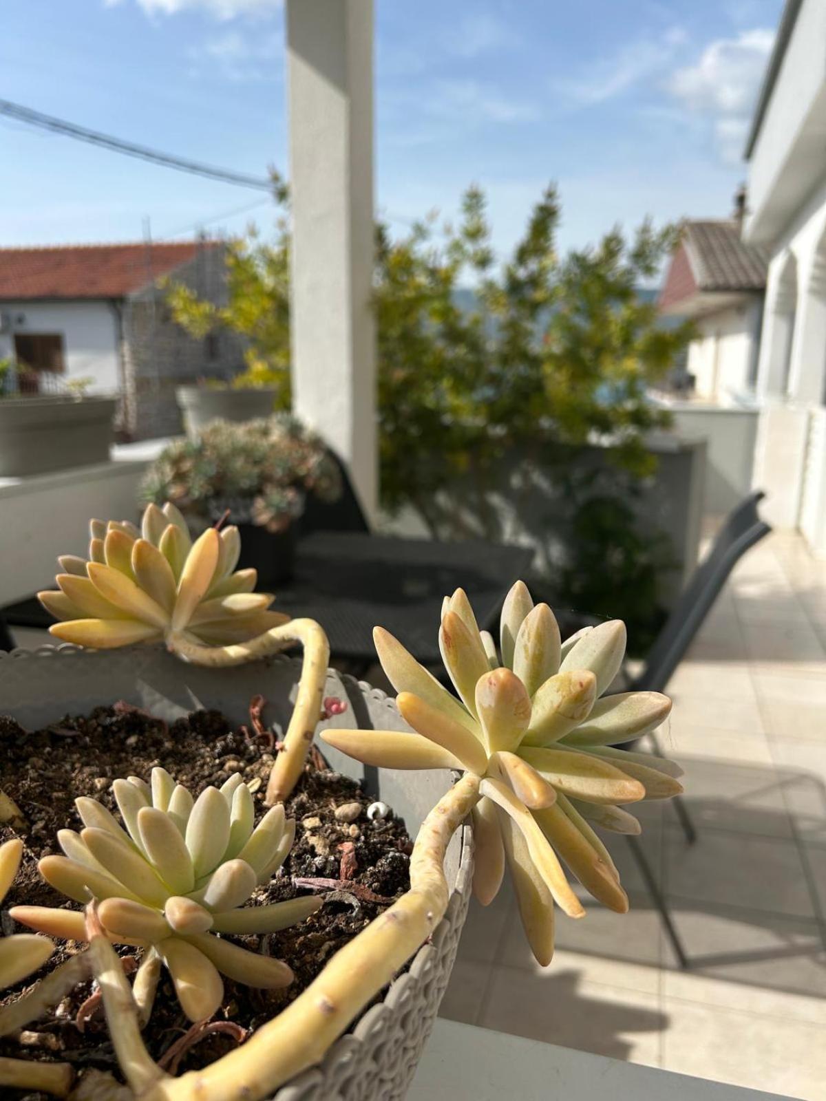 Apartmani Grgic Trogir Exteriör bild